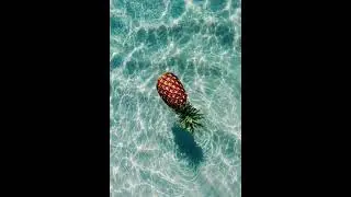 [FREE] Chill Pop x Tropical House Type Beat - 