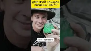 Дмитрий Комаров погиб на СВО? Что произошло с ведущим Дмитрием  Комаровым