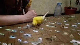 3 - ші күн Кеша 😍