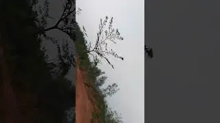 xe máy Yamaha núi leo núi