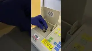 Loading a cuvette into a spectrophotometer