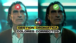 Configuración defintiva para Colores Correctos en Davinci Resolve