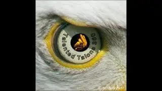5/2/2018 - Eagle and Raptor News - 5 pm PDT / 8 pm EDT