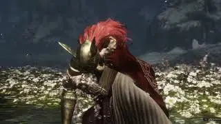 Elden Ring - Malenia melee fight
