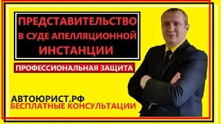Представительство в суде апелляционной инстанции