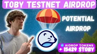 Toby Testnet on Solana!!