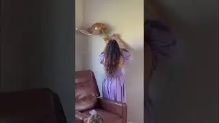 Kitty is VERY adventurous and loves being up high so I thought he’d enjoy this 🤎