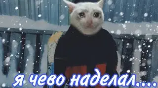 МЕНЯ БОМБИТ