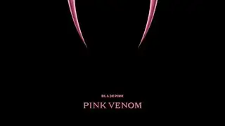 BLACKPINK - Pink Venom (Audio)