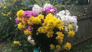 ШАШЛЫК И СУШИ В ДЕРЕВНЕ