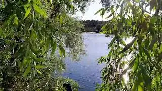Пинеры. Чувашия