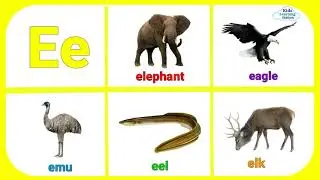 ABC ANIMALS FLASHCARDS
