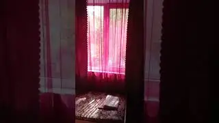 20 мая 2023 г.