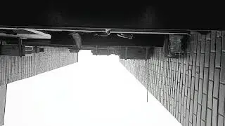 Flight of the pigeon