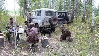 Собаки охотничьих пород  Правила охоты