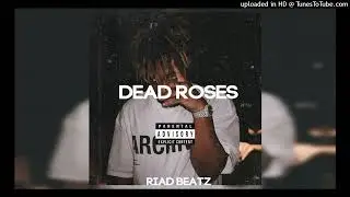 [FREE] Juice Wrld Guitar Melodic Type beat 2024  "Dead Roses"