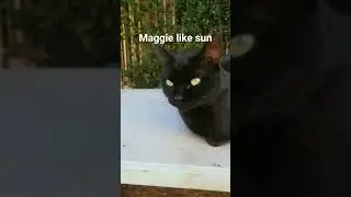 Maggie