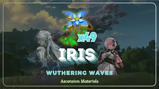 Iris Farming Guide | Ascension Materials | Wuthering Waves
