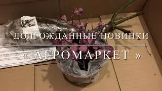 Долгожданные новинки от « Агромаркет »