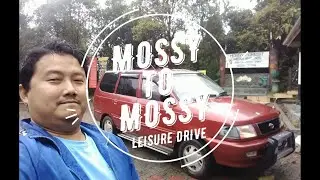 Perjalanan Dari Mossy Forest Ke A'moss Farmstay, Cameron Highlands | myVlog