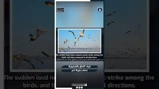 كيف تقول بالإنجليزية .. أنا مصاب بنوبة ذعر 😱