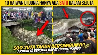 10 HAIWAN DI DUNIA HANYA ADA SATU DALAM SEJUTA