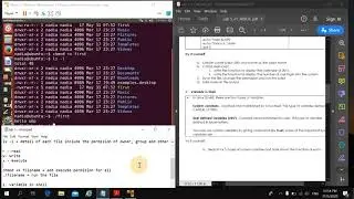Lab 5: Operating system (chmod, system variable, qoutes command)
