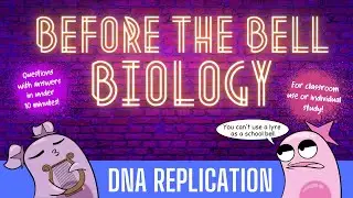 DNA Replication: Before the Bell Biology