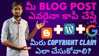 What We Have To Do When Someone Copies Our Content in Our Blog or Website