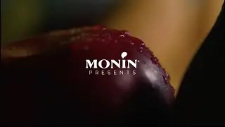 MONIN Ume Plum Syrup