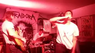 Gamma: Brighton 29/10/2024 pt.2
