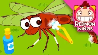 ¡Salven a la libélula! | Equipo de rescate de insectos | redmon Español | REDMON NiÑOS