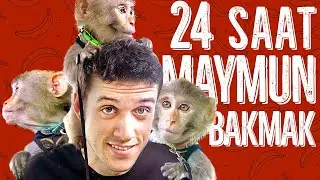 1 GÜNLÜĞÜNE MAYMUN BAKICISI OLDUM!