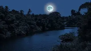 Night on the river in the jungle - rain forest sounds - soothing sounds of nature