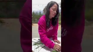 3 lavender plants harvested… 28 more to go!! 😅 
