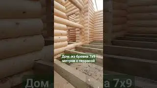 Продолжаем строить одноэтажный дом 7х9 метров из оцилиндрованного бревна