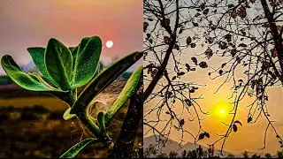 kese perfectly Pro mood main photo shoot kare ||How to capture perfectly Pro mood in Android mobile.