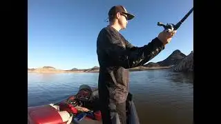 On the Fall at Novillo