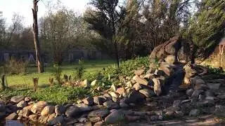 Продается дом в Мамонтовке на берегу реки, Ярославское шоссе 14 км. от МКАД