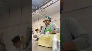 Shea Butter Explained In Detail