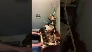 Practice for thirty two