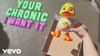 Phoebe Ryan - Chronic (Lyric Video)