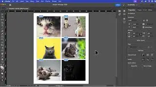 How to create a clean photo grid in Adobe InDesign