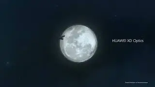 HUAWEI P50 Pro: Das Fotowunder ist zurück.