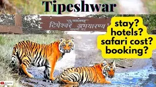 Tipeshwar wildlife sanctuary टिपेश्वर वन्यजीव अभयारण्य  