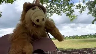 Snail by The Smashing Pumpkins cover by Alf and Stacy