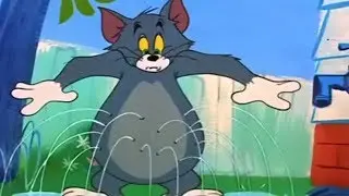 Tom and Jerry - The Egg and Jerry - Tom and Jerry Episode 99 [ T & J ]