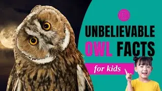 WOW! Unbelievable Owl Facts for Kids
