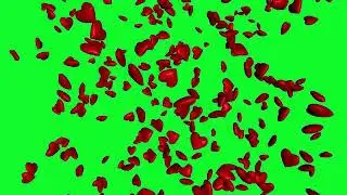 Green screen flower falling green screen heart falling effect
