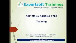 SAP TM on S/4HANA 1709 Training | SAP TM SHANA 1709 Training